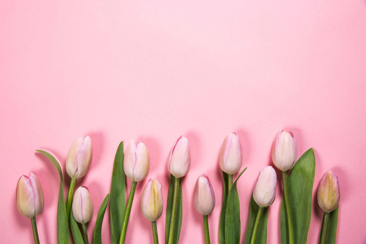Pink Spring Flowers - Gold UK Store